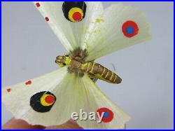 Antique Spun Glass Wing Composition BUTTERFLY Clip On Christmas Ornament Germany