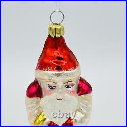 Christopher Radko Mountain Christmas Santa Pine Cone Glass Ornament 6.5