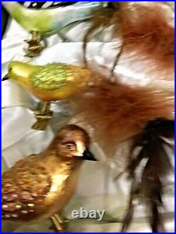 Frontgate Glass Bird Ornament Set Clip On Feathered Tails Vintage Style