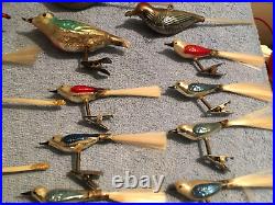 Lot Of Vintage Hand Plastic & Glass Bird Hook & Clip On Christmas Ornaments Read