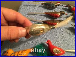 Lot Of Vintage Hand Plastic & Glass Bird Hook & Clip On Christmas Ornaments Read