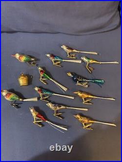 Set Of 12 Bird Ornaments Mercury Glass Spun Tails Clips Original Germany Japan