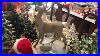 Vintage-Christmas-Collection-Video-332-Ceramic-Trees-Santa-Mugs-Glass-Trees-U0026-More-01-wjla